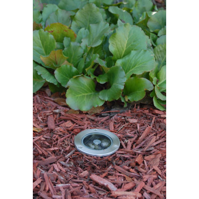 Smart Solar Solar Stainless Steel Step Light