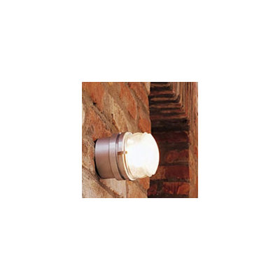 Oluce Fresnel Wall / Ceiling Lamp