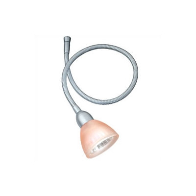 WAC Lighting Quick Connect Flexible Stem Lighting Fixture