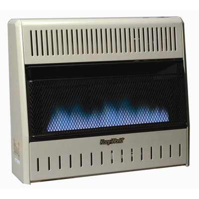 30000 BTU Dual Fuel Blue Flame Wall Heater