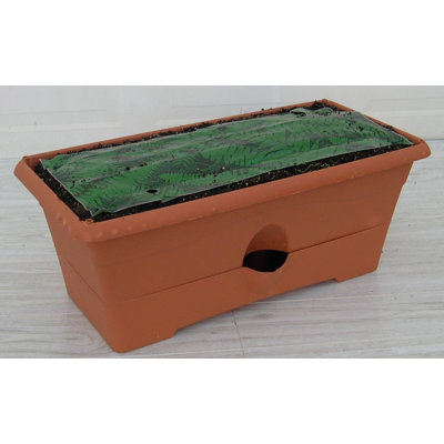 Garden Patch Grow Rectangular Box Planter