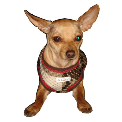Hip Doggie Super Star Camo Mesh Dog Tank