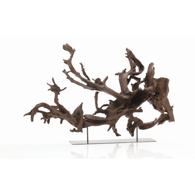 ARTERIORS Home Kazu Dragon Tree Root Sculpture in Natural