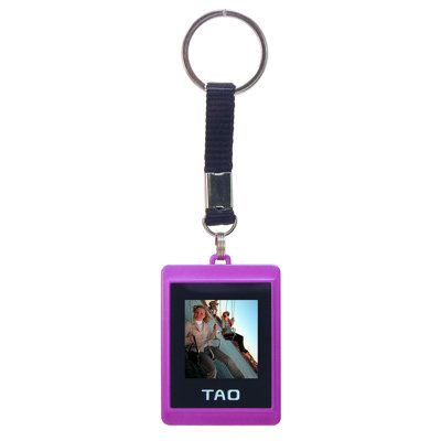 Tao Electronics Inc. Digital Photo Key Chain (Pair of 2 Key Chains)