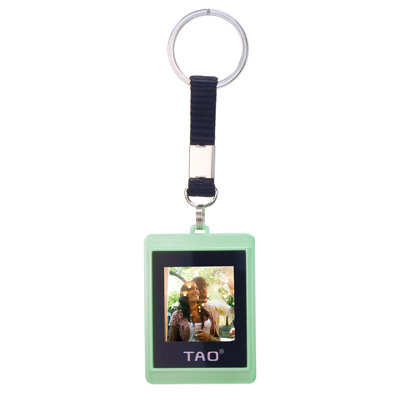 Tao Electronics Inc. Digital Photo Key Chain (Pair of 2 Key Chains)