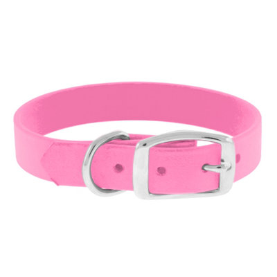 The Perfect Leash The Perfect 1" Dog Collar