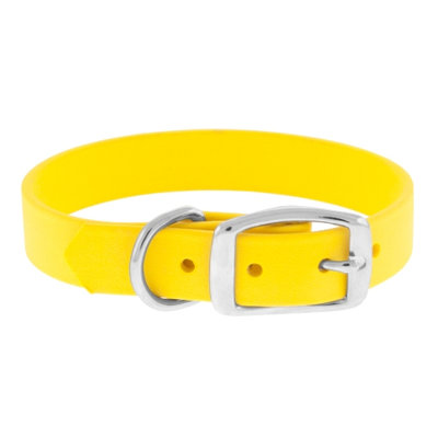 The Perfect Leash The Perfect 1" Dog Collar