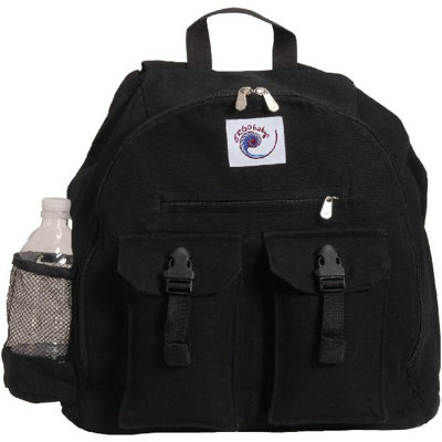ERGObaby Designs Organic Baby Carrier Backpack