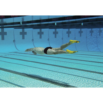 Finis Zoomers Z2 Swim Fin in Gold