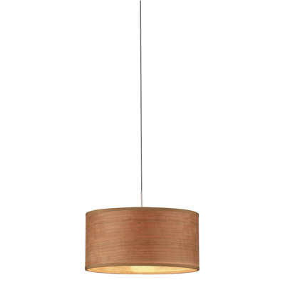 Philips Forecast Lighting White Grasscloth Pendant Shade
