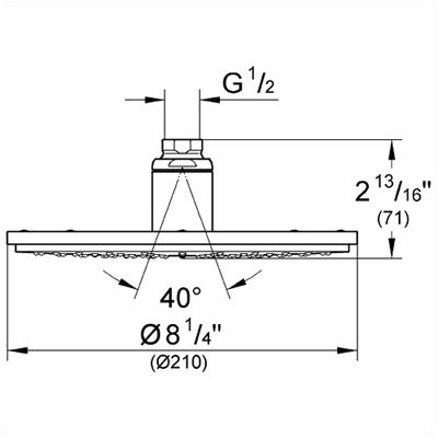 Grohe RainShower Head