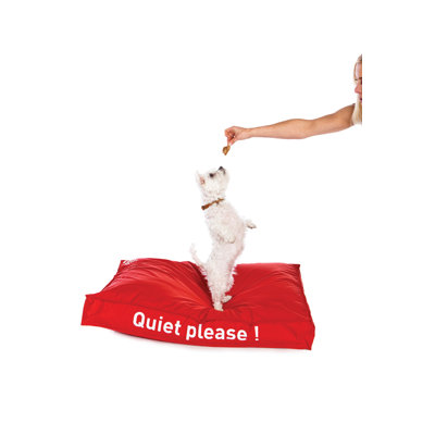 Sit On It Doggie Style Beanbag in Paw Prints Fashionable Grey