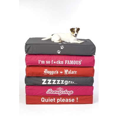 Sit On It Doggie Style Beanbag in Quiet Please Lipstick Red