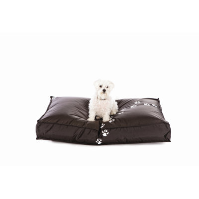 Sit On It Doggie Style Beanbag in Beauty Sleep Funky Fuchsia