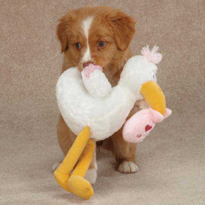 Zanies Silly Stork Dog Toy