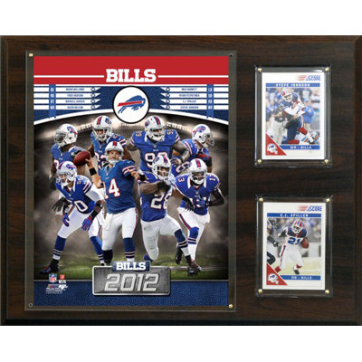 C & I Collectibles NFL 2012 Team Plaque
