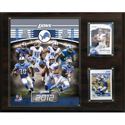 C & I Collectibles NFL 2012 Team Plaque