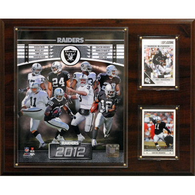 C & I Collectibles NFL 2012 Team Plaque