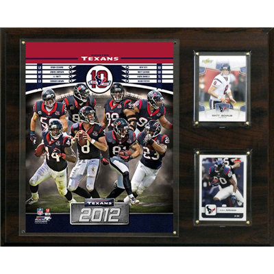 C & I Collectibles NFL 2012 Team Plaque