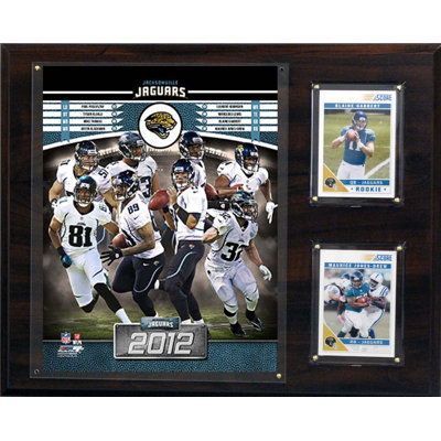 C & I Collectibles NFL 2012 Team Plaque