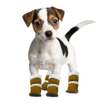 Hugs Pet ProductsPugz Dog Boots-image