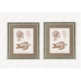 Sea Life Inspired Decor