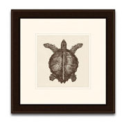 turtle art