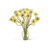 Decorating Your Home with Daisy Accents