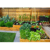 5 Tips for Planning Your Vegetable Garden
