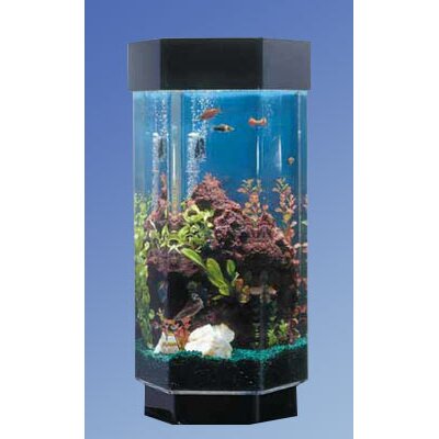 Aqua 15 Gallon Scape Hexagon Aquarium Kit | Wayfair