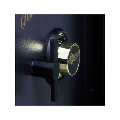 AMSEC B Rated Heavy Duty Wall Safe On PopScreen