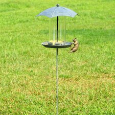 Cat and Glass Bird Feeder